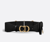 Imagem de CINTO SADDLE DIOR POCHETE
