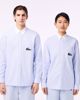 Imagem de CAMISA LISTRADA AZUL E BRANCA COM LOGO LACOSTE