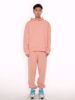 Imagem de CONJUNTO DE MOLETOM SALMAO ADIDAS